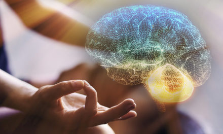 Meditação altera fisicamente o cérebro